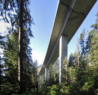 Illustration for article titled How We'll Live in a Future Where Cities Have Become Forests